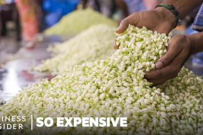 Why Jasmine Oil Is So Expensive