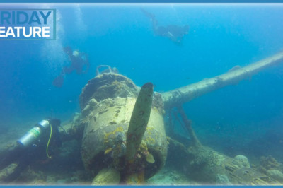 10 Mistakes That Newbie Divers Make | Friday Feature