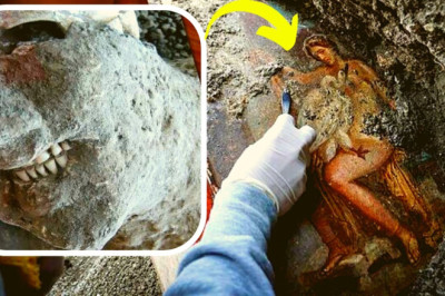 This Newly Discovered Graffiti Has Revealed The Startling Truth About Pompeii
