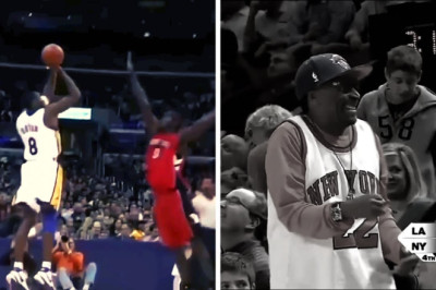 Kobe Bryant 60+ Point Game Compilation