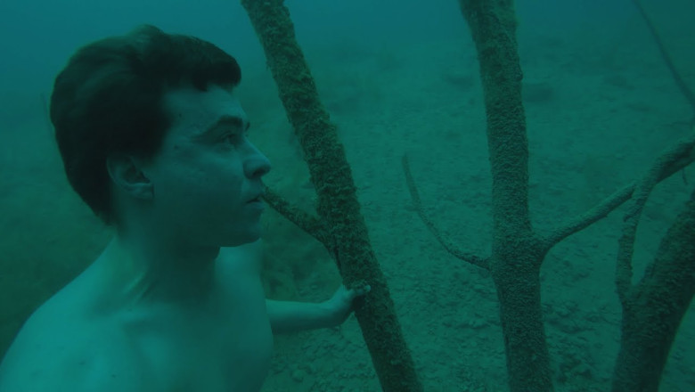 Freediving in the sunken forest