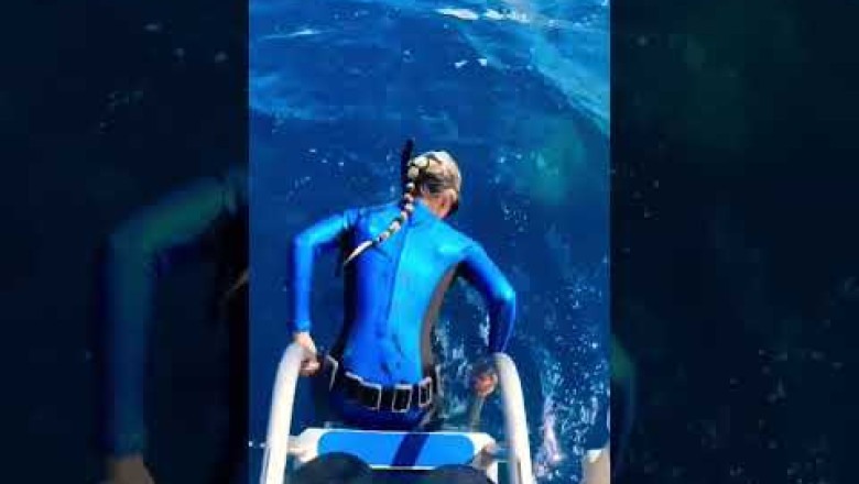 Never Jump Into The Ocean or Else THIS Will Happen! #shorts