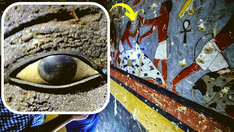 Archaeologists In Egypt Uncovered A 4400 Year Old Tomb Complete With Perfectly Preserved Paintings