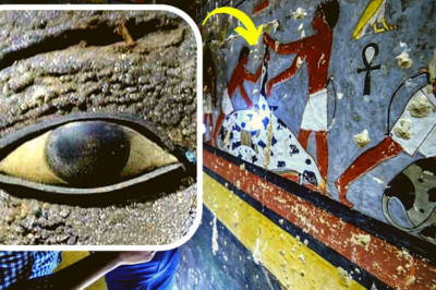 Archaeologists In Egypt Uncovered A 4400 Year Old Tomb Complete With Perfectly Preserved Paintings