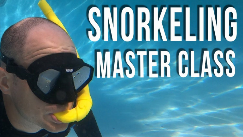 How To Snorkel Snorkeling For Beginners Nexth City