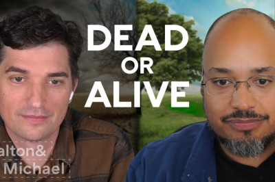 Save your Startup During an Economic Downturn by Dalton Caldwell and Michael Seibel