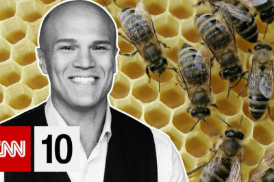 Concerns About Bee Colonies | December 14, 2022