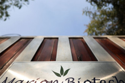 WHO urges 'immediate action' after cough syrup deaths