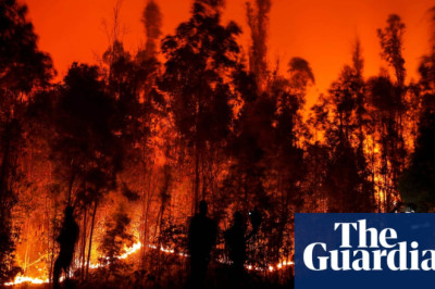 Chile wildfires kill at least 23 people as state of emergency extended further