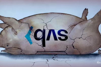 Banks are designed to fail — and they do