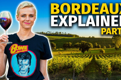 Introduction to BORDEAUX Wine Region (PART 1)