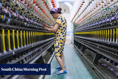 EU firms aim to de-risk as they reassess ‘how many eggs to keep’ in China