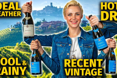 VINTAGE MATTERS: Blind Tasting BAROLO Wine From 4 Different Vintages