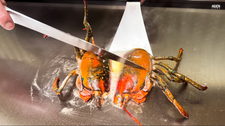 $235 Lobster and Kobe Beef in Kyoto - Japan