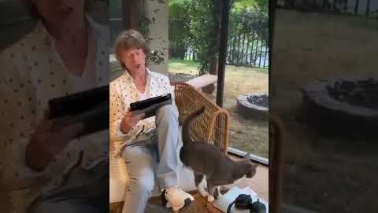 Mick Jagger chooses a tongue logo for The Rolling Stones' 60th anniversary | together with his cat🐈