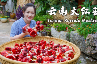Refreshing Taste of Mushrooms with Red Cap and White Stem