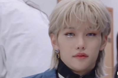 Stray Kids Felix | F-R-I-E-N-D-S {FMV}