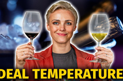 Are You Serving WINE at the RIGHT Temperature? | 6 Tips and Rules