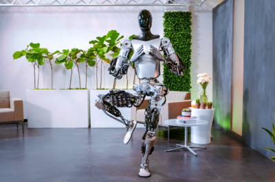 Tesla Bot Update | Sort & Stretch