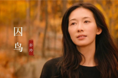 这才是《囚鸟》真正的原唱,歌声是如此撕心裂肺,听哭了伤心的人