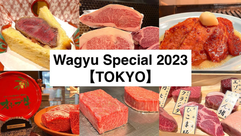 Wagyu Special 2023 Compilation - Tokyo -