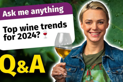 Q and A | Sommelier Answers YOUR Wine and Non-Wine Questions + GIVEAWAY WINNER
