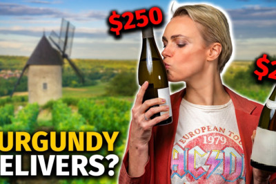 BURGUNDY Blind Tasting: Regional to Grand Cru (White Wine Edition)