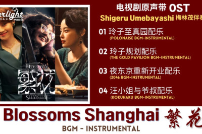 Blossoms Shanghai《繁花》 Chinese Drama Series OST 电视剧原声带 Shigeru Umebayashi 梅林茂伴奏 【BGM-Instrumental】插曲