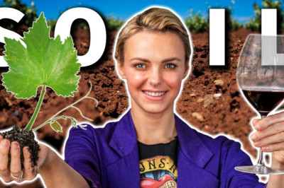 Why SOIL Matters in Wine (But Not the Way You Think!)