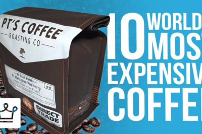 Top 10 Most Expensive Coffee In The World