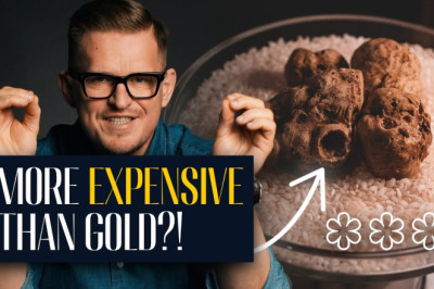 I tried the 420 Euro Menu at a 3 Michelin Star Restaurant in Italy - Da Vittorio