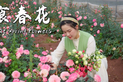 春吃花,是一件浪漫而美味的事情!| Eating spring flowers
