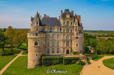 Tour of Chateau de Brissac with the owner, Charles-André de Brissac, Duke of Brissac