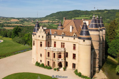 Tour of the Less-Known Masterpiece of the French Architect Viollet-le-Duc : Chateau de Pupetières.