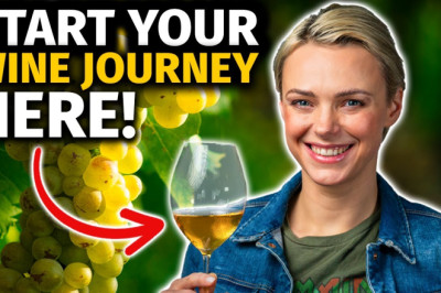Beginner's Guide to WINE: 7 Expert TIPS to Start and Elevate Your WINE JOURNEY