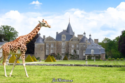 This French Castle Houses a Zoo! Tour with its Owner, Olivier de Lorgeril.