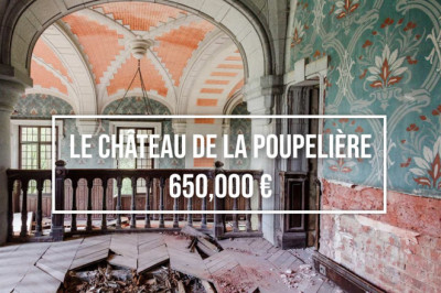 ABANDONED CHATEAU - Le château de la Poupelière is for sale and could be yours.