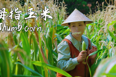 Thumb corn—sweet and sticky corn that's only the size of a finger【滇西小哥】