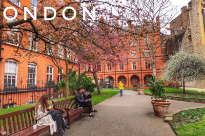 London Spring Walk, Cherry Blossom, Super Cars and Super Rich, Mayfair and Kensington Walking Tour