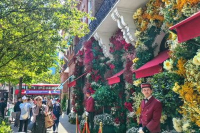 LONDON: CHELSEA IN BLOOM 2024  ‘Floral Feasts’ Flower Displays, Kings Road and Sloane Square | 4K HDR