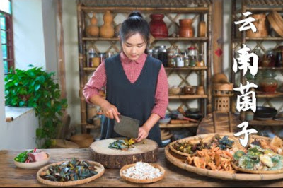 The Irresistible Yunnan Mushrooms【滇西小哥】