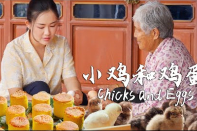 Chicks and eggs — which came first, the chicken or the egg?【滇西小哥】