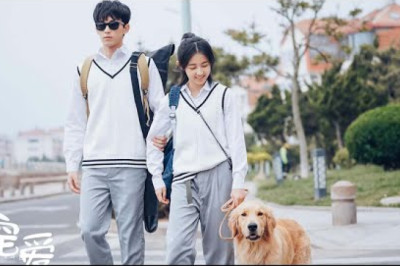 【ENG SUB】《寵愛/Adoring》記得這個世界不夠完美,但是總會有人悄悄愛你!