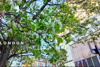 Summer is here in London | Marylebone, Holborn | Best London Walking Tours