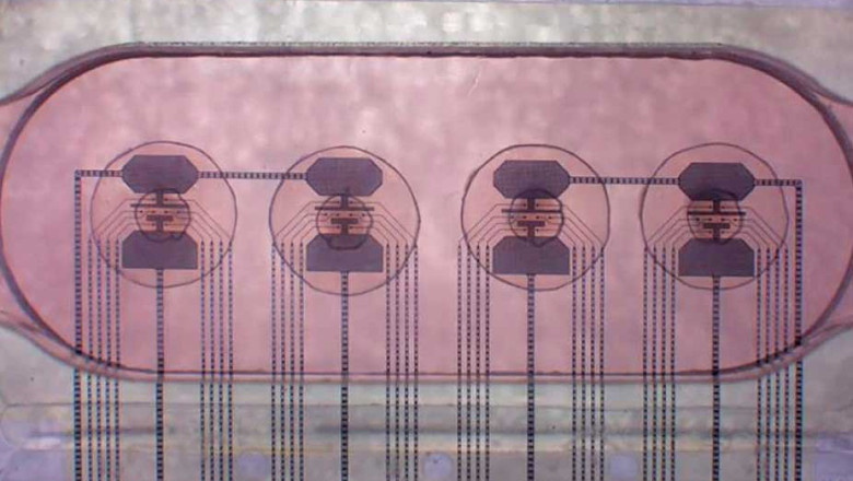 Revolutionizing Technology and Medicine: The Promise of Human Cell-Based Biocomputing Platforms