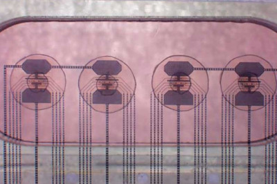 Revolutionizing Technology and Medicine: The Promise of Human Cell-Based Biocomputing Platforms