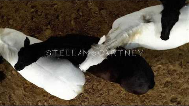 Stella McCartney  Winter 2026 Runway Show